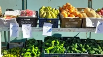 أسعار الطماطم والبطاطس في أسواق الأقصر اليوم تتصدر الارتفاعات